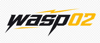 wasp02